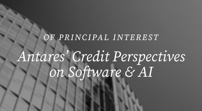 Our Perspective on Software and AI
