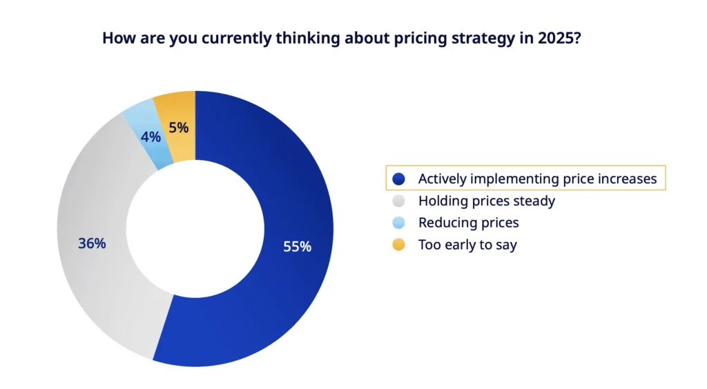How are you currently thinking about pricing strategy in 2025?